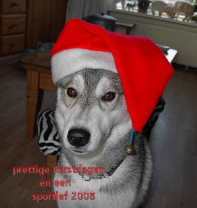 kerstfoto