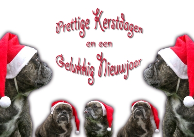 kerstfoto